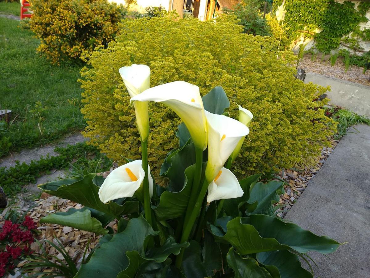 La Ribambelle Bed & Breakfast Saint-Brisson-sur-Loire Bagian luar foto